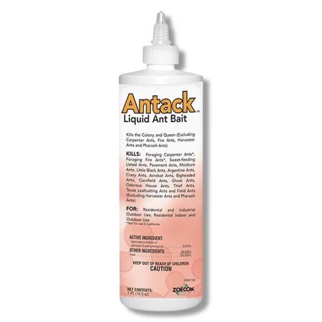 Amazon.com : Zoecon Antack Liquid Ant Bait - 16oz : Patio, Lawn